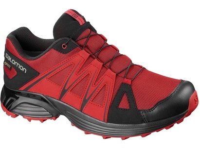 salomon gtx trainers