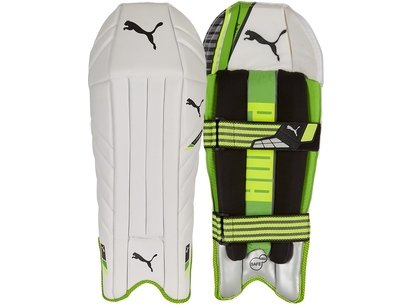 Cricket Wicket Keeping Pads 